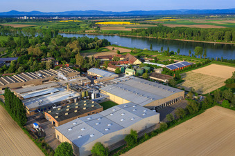 Vue oblique de Usine Intersnack Deutschland SE à Petersau sur les rives du Rhin à le quartier Mörsch in Frankenthal dans le département Rhénanie-Palatinat, Allemagne