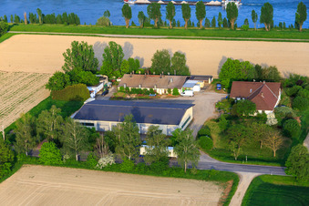 Vue aérienne de Petersau au bord du Rhin à le quartier Mörsch in Frankenthal dans le département Rhénanie-Palatinat, Allemagne
