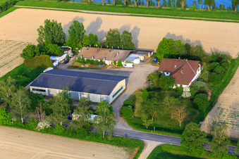 Vue aérienne de Petersau au bord du Rhin à le quartier Mörsch in Frankenthal dans le département Rhénanie-Palatinat, Allemagne