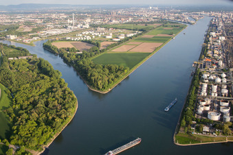 Vue aérienne de Île sur les rives du Rhin et du Friesenheimer Altrhein dans le district de Friesenheimer Insel à le quartier Neckarstadt-West in Mannheim dans le département Bade-Wurtemberg, Allemagne
