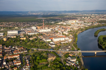 Vue aérienne de Locaux de l'usine SCA HYGIENE PRODUCTS GmbH sur l'Altrhein dans le quartier de Waldhof à le quartier Sandhofen in Mannheim dans le département Bade-Wurtemberg, Allemagne