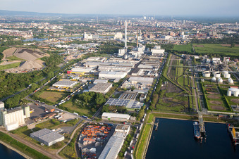 Vue aérienne de Locaux de l'usine MTG Bayer GmbH dans le quartier Industriehafen à le quartier Neckarstadt-West in Mannheim dans le département Bade-Wurtemberg, Allemagne