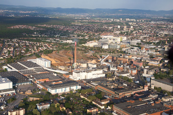 Vue aérienne de Essity à le quartier Sandhofen in Mannheim dans le département Bade-Wurtemberg, Allemagne