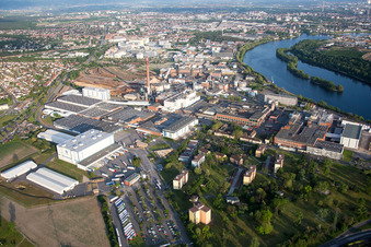 Photographie aérienne de Locaux de l'usine SCA HYGIENE PRODUCTS GmbH sur l'Altrhein dans le quartier de Waldhof à le quartier Sandhofen in Mannheim dans le département Bade-Wurtemberg, Allemagne