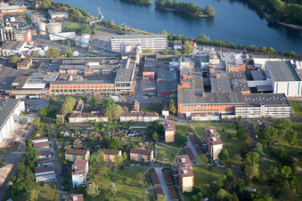 Vue aérienne de Essity à le quartier Sandhofen in Mannheim dans le département Bade-Wurtemberg, Allemagne