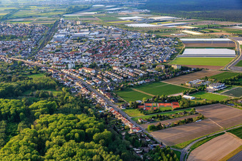Vue aérienne de Vieille rue Viernheimer à Lampertheim dans le département Hesse, Allemagne
