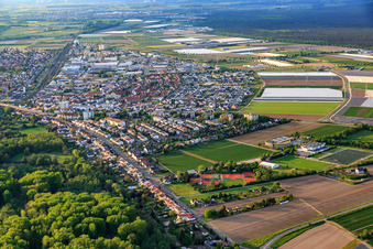 Vue aérienne de Vieille rue Viernheimer à Lampertheim dans le département Hesse, Allemagne