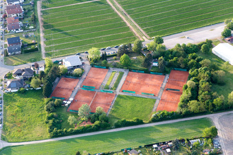 Vue aérienne de Terrain de tennis du club de tennis Rot-Weiss à Lampertheim dans le département Hesse, Allemagne