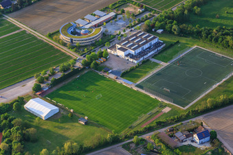 Vue aérienne de École Pestalozzi et terrain de sport de TV Lampertheim eV à Lampertheim dans le département Hesse, Allemagne