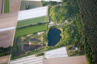 Vue aérienne de Biotope à le quartier Neuschloß in Lampertheim dans le département Hesse, Allemagne