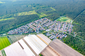 Vue aérienne de Du sud à le quartier Neuschloß in Lampertheim dans le département Hesse, Allemagne