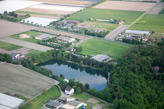 Vue aérienne de Lac de pêche ASV Lorsch Einhausen à le quartier Hüttenfeld in Lampertheim dans le département Hesse, Allemagne