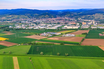 Vue aérienne de Zone industrielle de la Tiergartenstraße avec l'usine Unilever Deutschland GmbH Heppenheim à Heppenheim dans le département Hesse, Allemagne