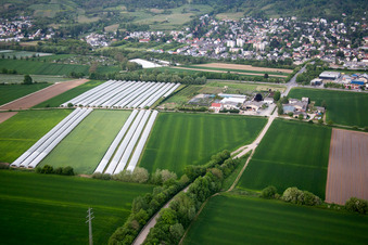 Vue oblique de Quartier Auerbach in Bensheim dans le département Hesse, Allemagne