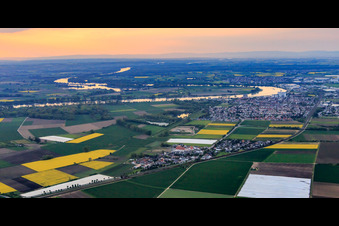 Vue aérienne de Vue de la ville sur la courbe du Rhin le soir à Gernsheim dans le département Hesse, Allemagne