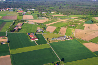 Vue aérienne de Kuhle Jule @ Fasanenhof et Falkenhof à Pfungstadt dans le département Hesse, Allemagne