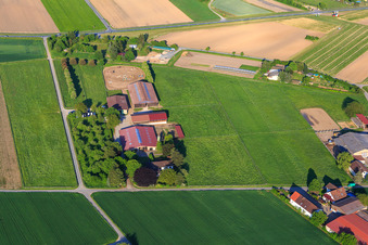 Vue aérienne de Centre équestre Crößmann à Pfungstadt dans le département Hesse, Allemagne