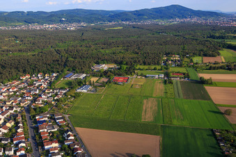 Vue aérienne de Rue Seeheimer à Pfungstadt dans le département Hesse, Allemagne