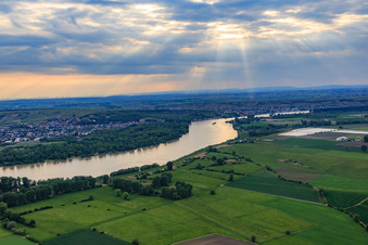 Vue aérienne de Réserve naturelle Riedwiesen de Wächterstadt au bord du Rhin à le quartier Leeheim in Riedstadt dans le département Hesse, Allemagne