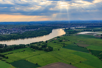 Vue aérienne de Réserve naturelle Riedwiesen de Wächterstadt au bord du Rhin à le quartier Leeheim in Riedstadt dans le département Hesse, Allemagne