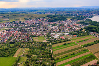 Vue aérienne de Zoo Oppenheim à Oppenheim dans le département Rhénanie-Palatinat, Allemagne