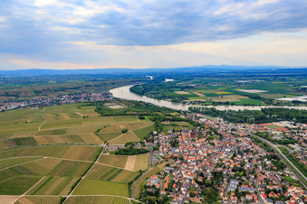 Vue aérienne de Vue sur la ville entre les vignes et le Rhin à Oppenheim dans le département Rhénanie-Palatinat, Allemagne