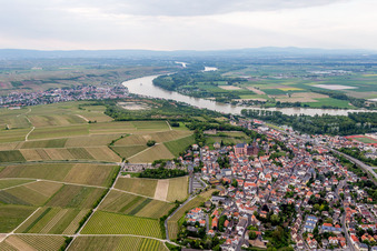 Vue aérienne de Village avec l'église Sainte-Catherine et le château de Landskron au bord du Rhin à Oppenheim dans le département Rhénanie-Palatinat, Allemagne