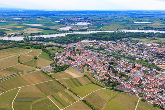 Photographie aérienne de Vue sur la ville entre les vignes et le Rhin à Oppenheim dans le département Rhénanie-Palatinat, Allemagne