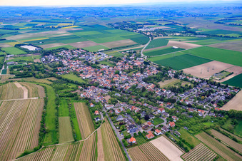 Vue aérienne de Vue du village depuis le nord-est à Dexheim dans le département Rhénanie-Palatinat, Allemagne