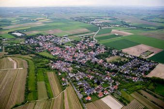 Vue aérienne de Vue sur le village à Dexheim dans le département Rhénanie-Palatinat, Allemagne