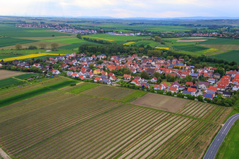 Vue aérienne de Vue du village depuis l'est à Friesenheim dans le département Rhénanie-Palatinat, Allemagne