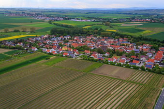 Vue aérienne de Vue du village depuis l'est à Friesenheim dans le département Rhénanie-Palatinat, Allemagne