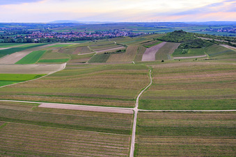 Vue aérienne de Petersberg à Gau-Odernheim dans le département Rhénanie-Palatinat, Allemagne