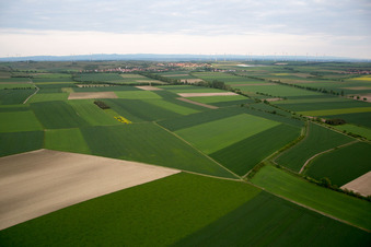 Vue aérienne de Hillesheim dans le département Rhénanie-Palatinat, Allemagne