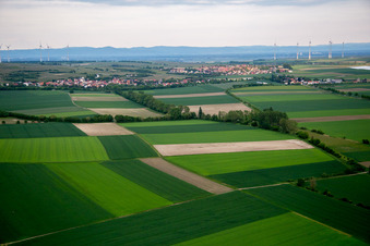 Photographie aérienne de Hillesheim dans le département Rhénanie-Palatinat, Allemagne