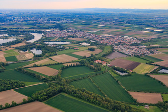 Vue aérienne de Vue du nord à le quartier Bobenheim in Bobenheim-Roxheim dans le département Rhénanie-Palatinat, Allemagne