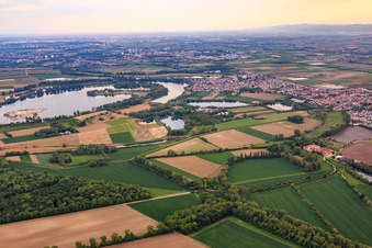 Photographie aérienne de Vue du nord à le quartier Bobenheim in Bobenheim-Roxheim dans le département Rhénanie-Palatinat, Allemagne