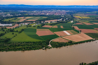 Vue aérienne de Lampertheimer Altrhein et rampe OTAN Lampertheim sur le Rhin à Lampertheim dans le département Hesse, Allemagne