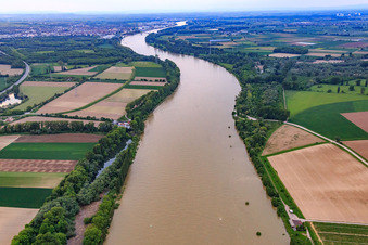Vue aérienne de Rampe OTAN Lampertheim sur le Rhin à Lampertheim dans le département Hesse, Allemagne