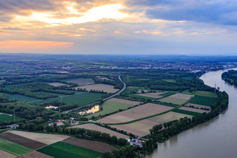 Vue aérienne de Embouchure de l'Isenach dans le Rhin et le Haut-Busch à le quartier Bobenheim in Bobenheim-Roxheim dans le département Rhénanie-Palatinat, Allemagne
