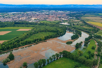 Vue aérienne de Rallengraben Lampertheimer Altrhein à Lampertheim dans le département Hesse, Allemagne