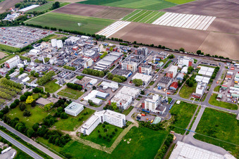Vue aérienne de Locaux de l'usine du producteur de produits chimiques BASF Lampertheim GmbH à Lampertheim dans le département Hesse, Allemagne
