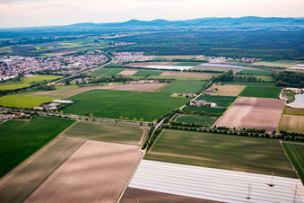 Vue aérienne de Vallée du ravin vue du sud-ouest à Bürstadt dans le département Hesse, Allemagne