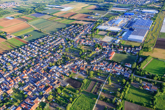 Vue aérienne de Vue de la ville depuis le sud avec la zone industrielle Industriestraße et FRIGO-TRANS GmbH à Fußgönheim dans le département Rhénanie-Palatinat, Allemagne