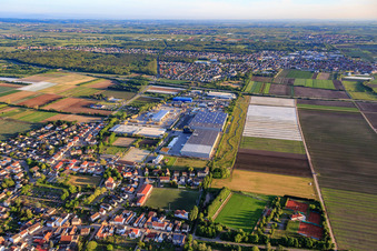 Vue aérienne de Vue du sud-est avec la zone industrielle Industriestraße et FRIGO-TRANS GmbH à Fußgönheim dans le département Rhénanie-Palatinat, Allemagne