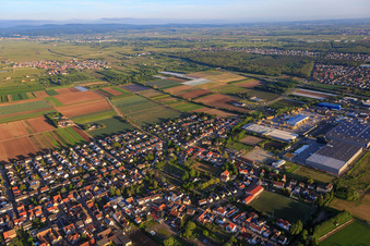 Vue aérienne de Vue du sud-est avec la zone industrielle Industriestraße et FRIGO-TRANS GmbH à Fußgönheim dans le département Rhénanie-Palatinat, Allemagne