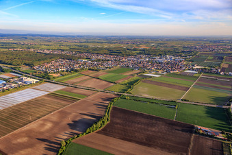 Vue aérienne de Vue d'ensemble de la ville depuis le sud-est à Maxdorf dans le département Rhénanie-Palatinat, Allemagne