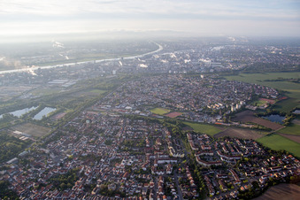 Photographie aérienne de Quartier Edigheim in Ludwigshafen am Rhein dans le département Rhénanie-Palatinat, Allemagne