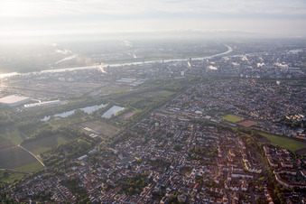 Vue oblique de Quartier Edigheim in Ludwigshafen am Rhein dans le département Rhénanie-Palatinat, Allemagne