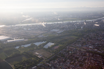 Vue aérienne de Quartier Oppau in Ludwigshafen am Rhein dans le département Rhénanie-Palatinat, Allemagne
